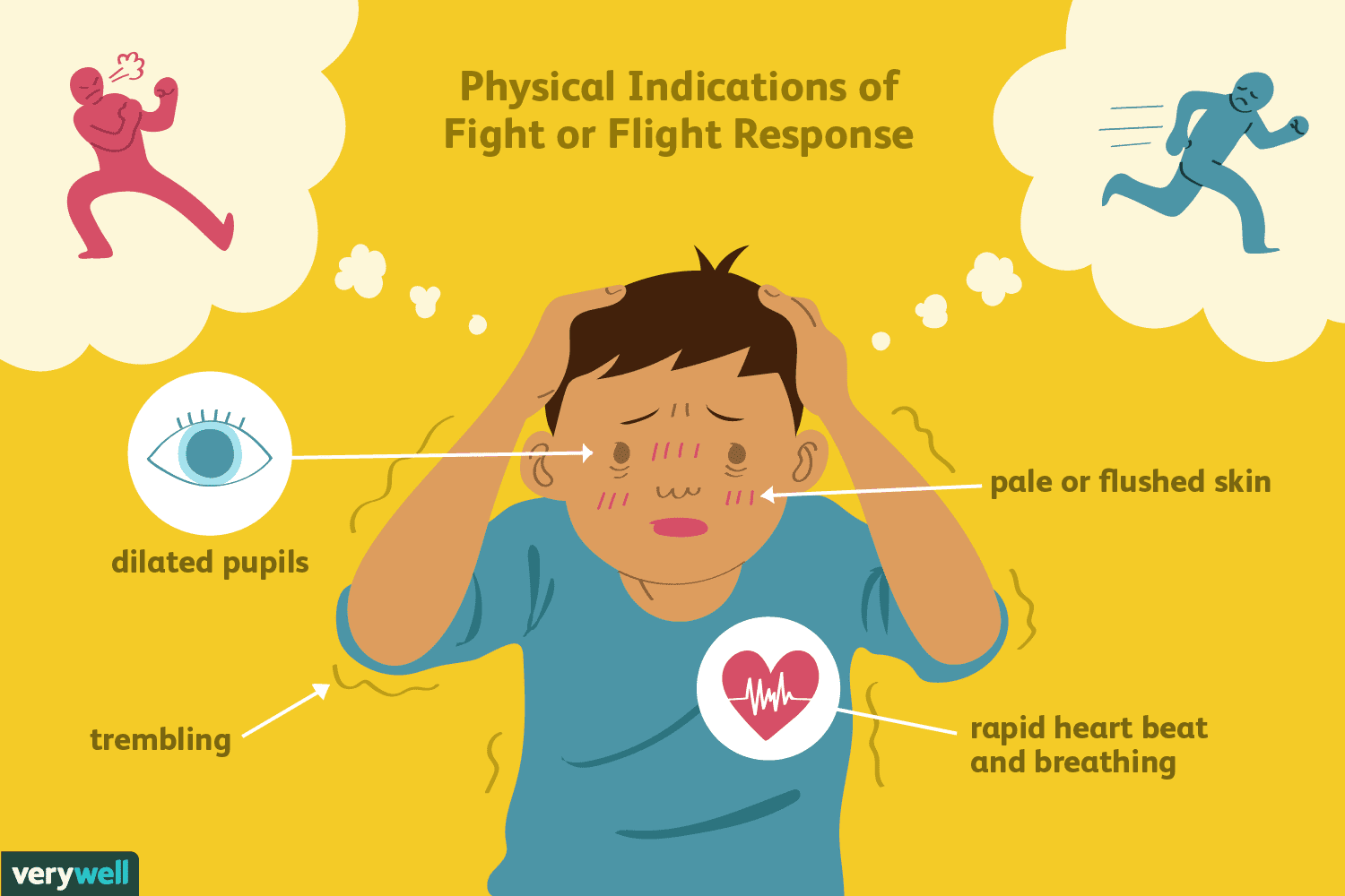 Diagram of physical indications of fight or flight response. text: dilated pupils, trembling, rapid heart beat and breathing, pain or flushed skin