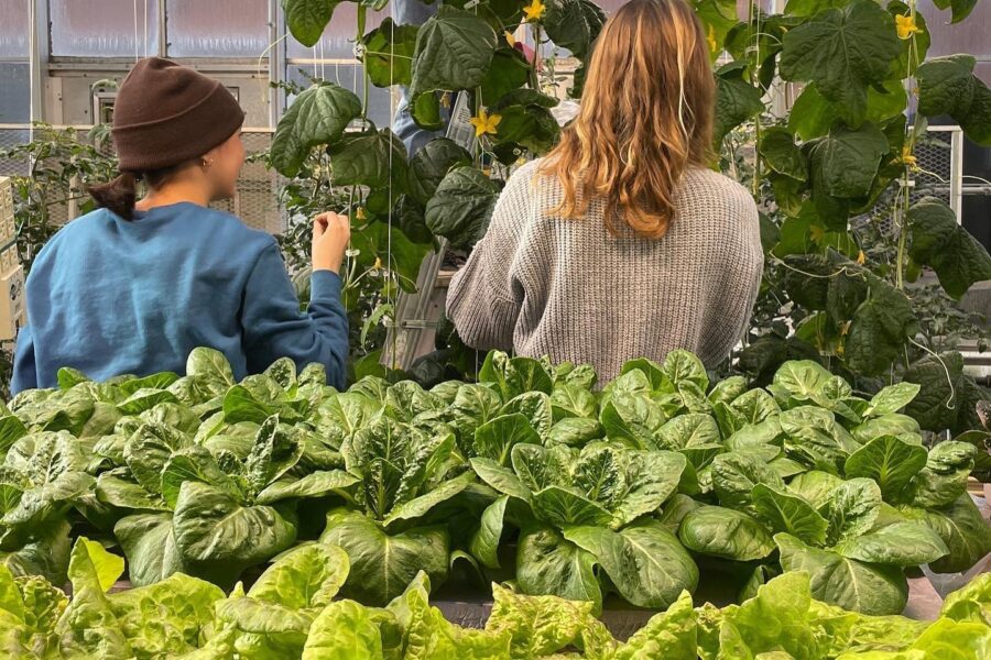 Students working on the D.C. Smith Greenhouse.